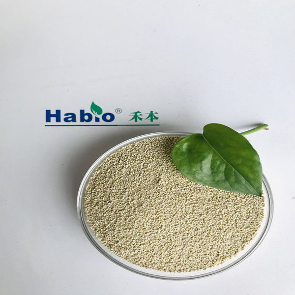 Poudre d'enzymes de Habio de lipase de catégorie d'alimentation avec la certification ISO9001