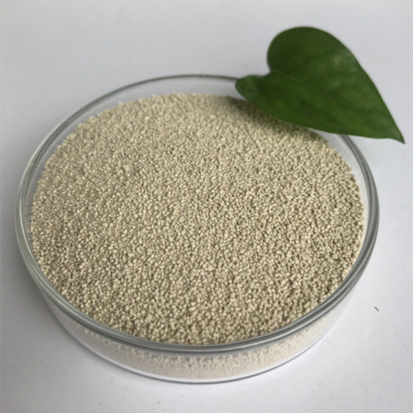 La nutrition par la lipase habioenzymatique améliore l'absorption et l'utilisation du biodiesel