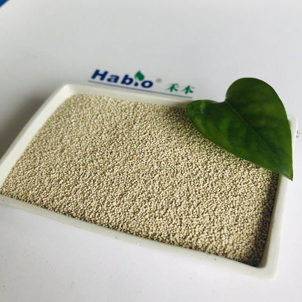 Granule Habio Lipase Grade d'enzyme 20,000u pour les animaux d'élevage Animaux Effet synergique sur la lipase endogène