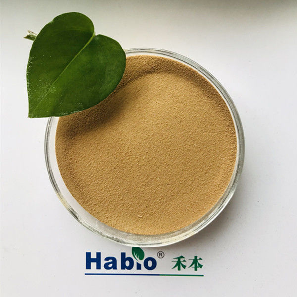 BP100 Poudre ou granule de protéase de qualité alimentaire