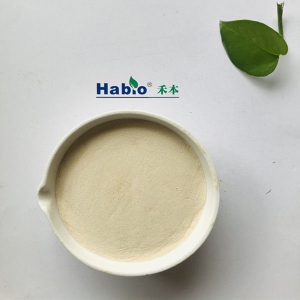 Hautes enzymes de NSP de thermostabilité