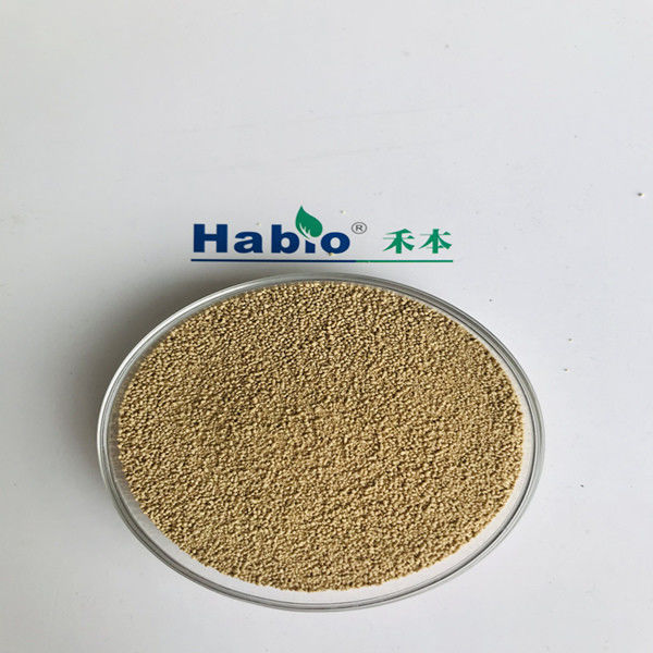 Granule de poudre d'enzymes de NSP Habio utilisé en alimentation de volaille 25kg/Bag