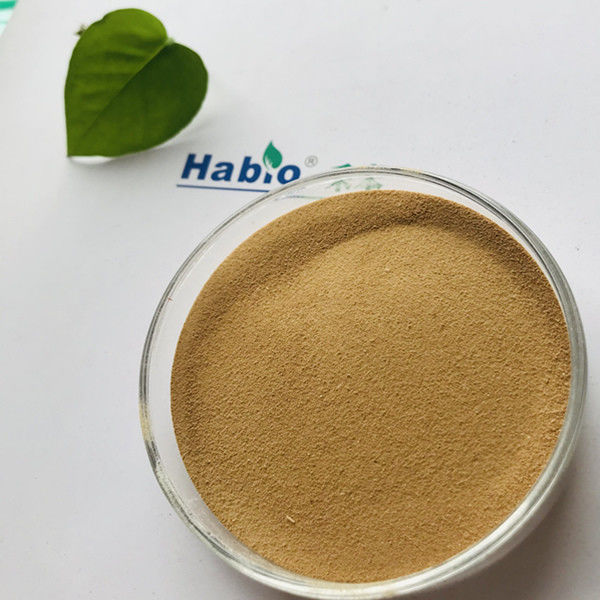 catégorie Alpha Amylase Powder With thermostable ISO9001 de l'alimentation 10000U