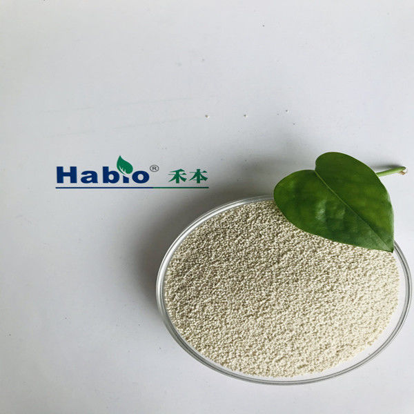 Enzyme digestive de 10000U/G Xylanase améliorant le taux d'utilisation d'éléments nutritifs