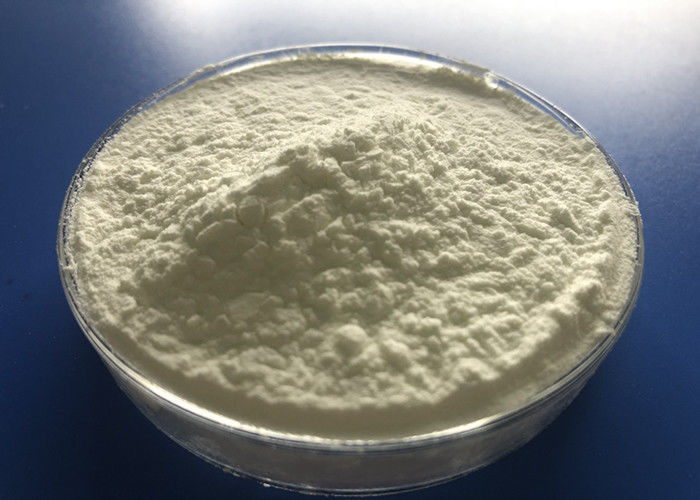 enzyme de la protéase 10000U