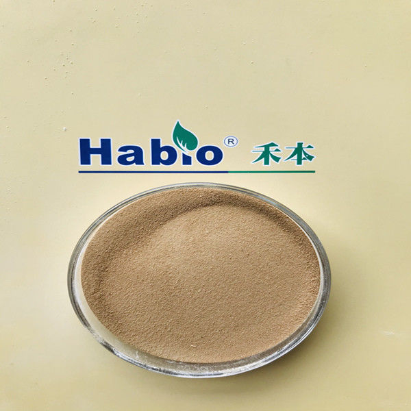 Améliorer l' hydrolyse des protéines et l' enzyme kératinase Blanc de haute pureté dans l'industrie du cuir