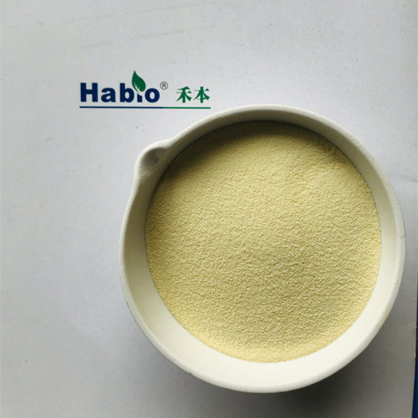Améliorer l' hydrolyse des protéines et l' enzyme kératinase Blanc de haute pureté dans l'industrie du cuir
