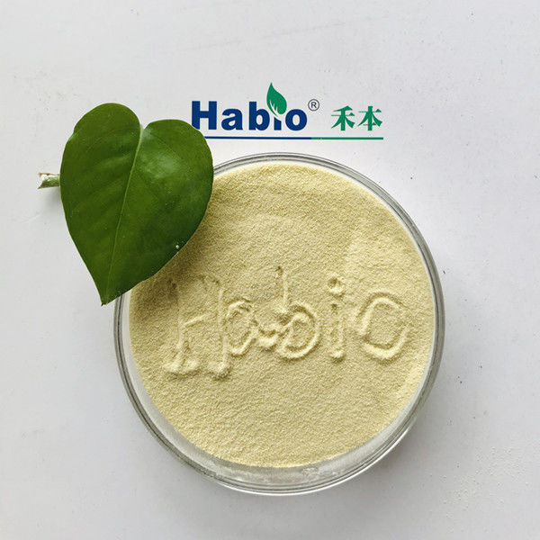 Améliorer l' hydrolyse des protéines et l' enzyme kératinase Blanc de haute pureté dans l'industrie du cuir